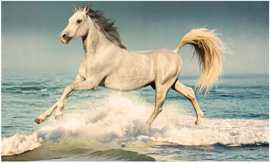 Apresentação do livro | "De Rédeas Soltas",  de Gabriel Ethan Paz | março 2026